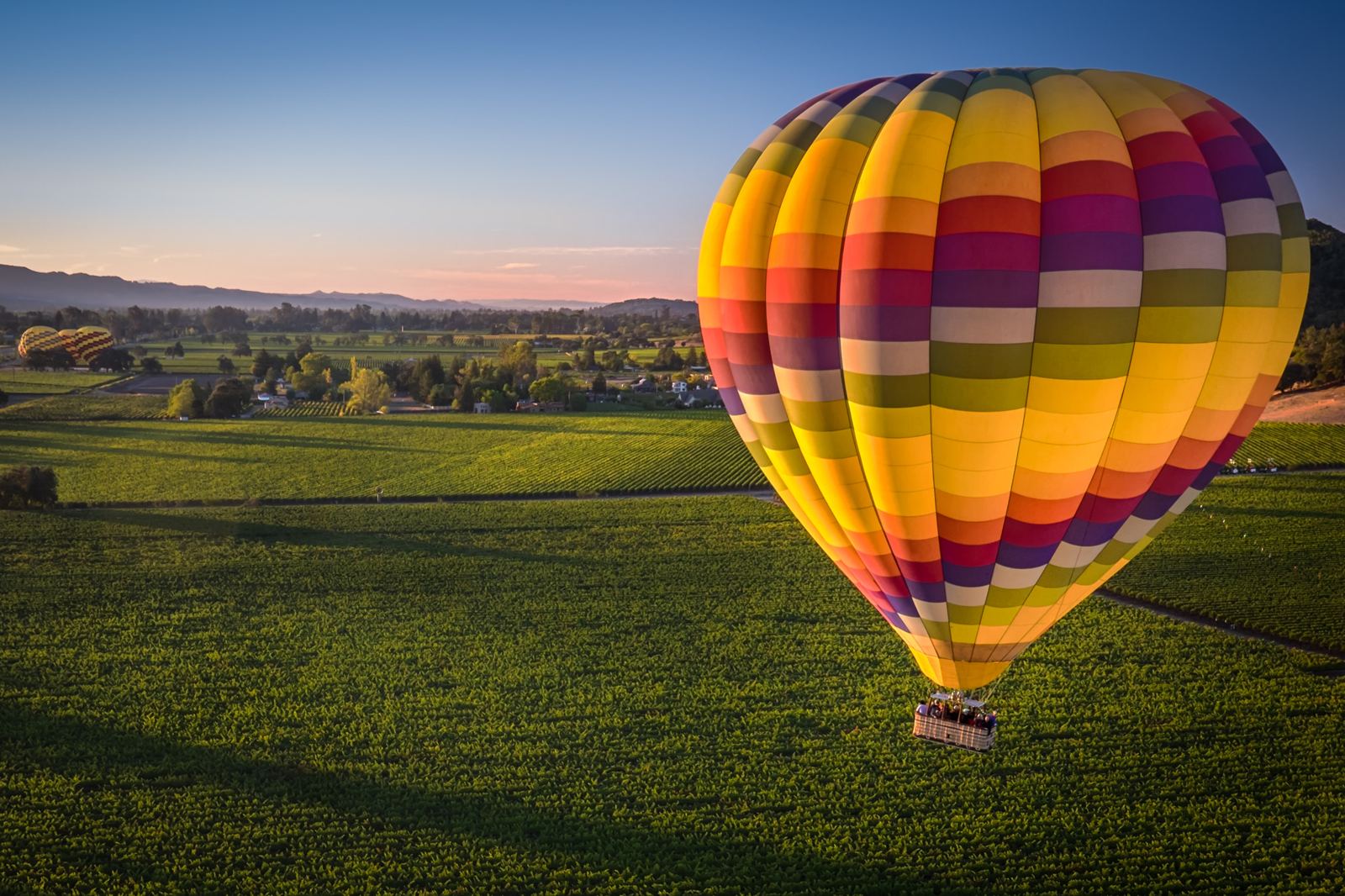 Hot air balloon over Napa vineyards at sunrise