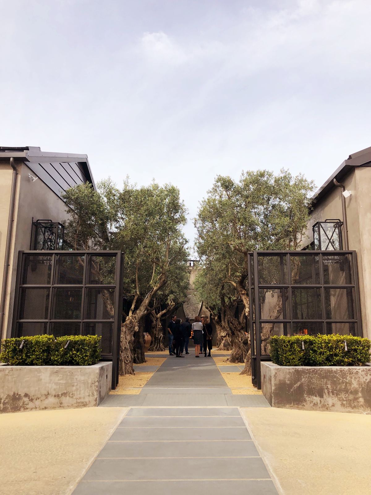 Olive-tree entrance to RH Yountville